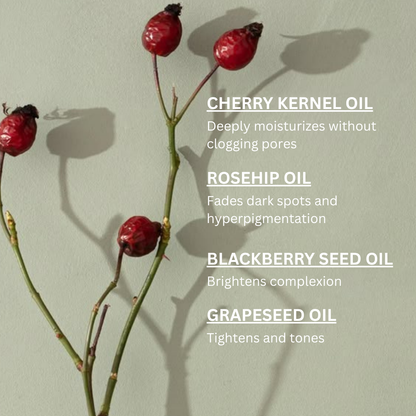 Red berries on a branch with text about different oils on a light green background
